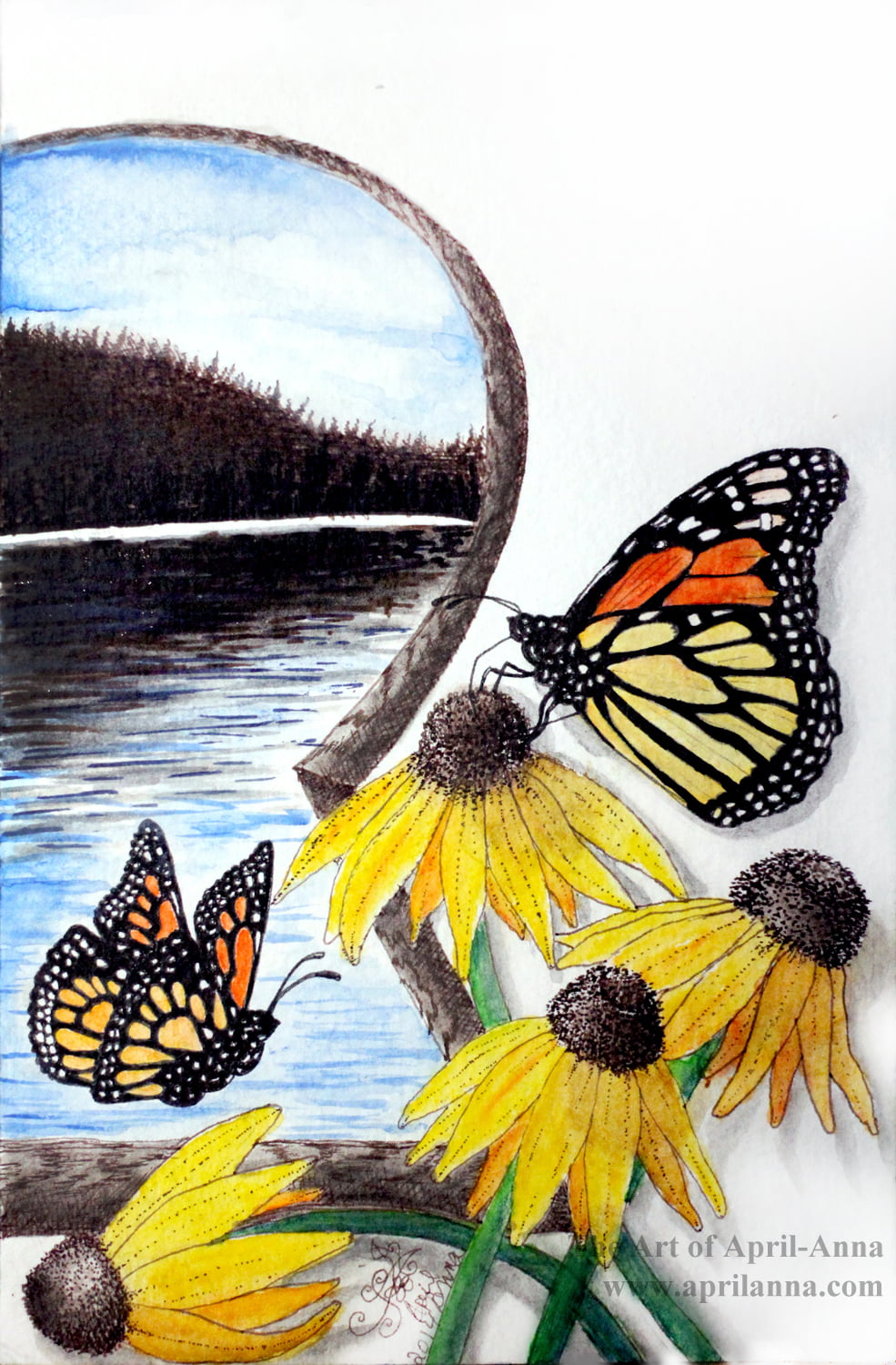 Monarch Butterflies & Wild Flowers